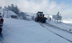 Kar nedeniyle kapanan 42 mahalle yolu ulaşıma açıldı