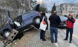 Otomobil evin bahçesine devrildi