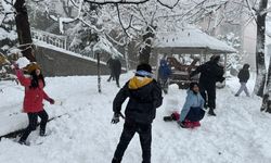 'Kar Tatilini' Fırsat Bilen Çocuklar Doyasıya Eğlendi