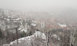 Artvin Beyaza Büründü