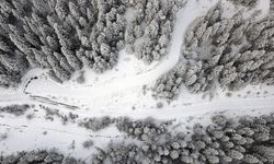 Beyaz Örtüyle Kaplanan Ormanlar Dron ile Görüntülendi