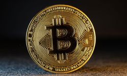 Bitcoin Kurumsal Yatırımcı Sınavında