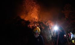Orman Yangınları Nedeniyle "Uluslararası Yardım" Talep Edecek