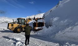 Artvin Ardahan Karayoluna Çığ Düştü