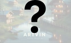 Artvin animasyon film posteri olarak tasarlandı