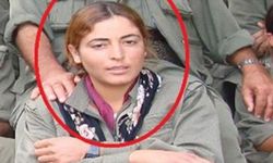 MİT, Terör Örgütü PKK'nın Sözde Sorumlusunu Etkisiz Hale Getirdi