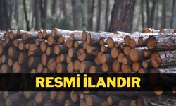İSTİFLEME İŞİ HİZMET ALIMI