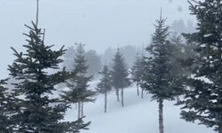 Bolu'nun Yüksek Kesimlerine Kar Yağdı