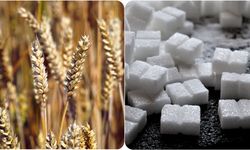 Tahıl ve Şekerin Diş Çürüklerini Arttırdığı Belirlendi