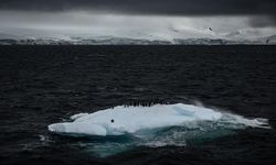 Türk Akademisyenler Antarktika'daki Kirliliği Mercek Altına Alacak