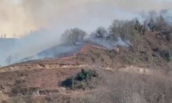 Hopa’da Orman Yangını