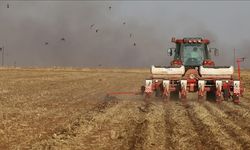 Türkiye ile Irak Arasında Tarımsal İşbirliğinde De Yeni Dönem Başlıyor