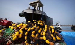 Deniz Suyunun Erken Isınması Balıkçılara "Paydos" Dedirtti