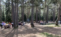 Güzel havayı fırsat bilen vatandaşlar soluğu piknikte aldı