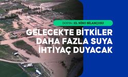 Artan Sıcaklıklar ve Düzensiz Yağışlar Tarımsal Üretimi Etkiliyor