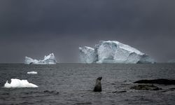 Isınan Okyanus Suyu Kıyamet Buzulunu Daha Hızlı Eritiyor