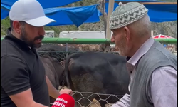 Kurban Pazarlığı Renkli Görüntülere Sahne Oldu