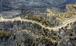 İklim Krizi Yangın Rejimini Değiştirirken Orman Yangınları Isınmayı Artırıyor