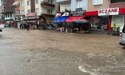 Sağanak Nedeniyle Tarım Arazileri Su Altında Kaldı, İş Yerlerini Su Bastı