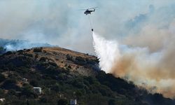 Hava Sıcaklıklarındaki Artış Orman Yangını Riskini Artırdı, Uyarılar Birbiri Ardına Yapıldı