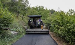 Vali Ünsal, İl Özel İdaresinin Yol Çalışmalarını Yerinde İnceledi