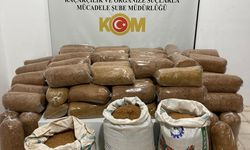 435 Kilogram Kaçak Tütün Ele Geçirildi