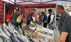 Sezonun Başlamasıyla Balık Pazarı Hareketlendi