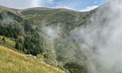 Kabarca Yaylası Manzarası İle Büyülüyor