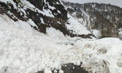 Çığ Nedeniyle 6 Köy Yolu Ulaşıma Kapandı