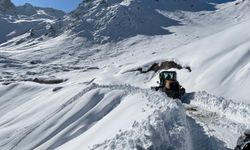 Kar Nedeniyle Yaylada Mahsur Kalan 5 Kişi Kurtarıldı