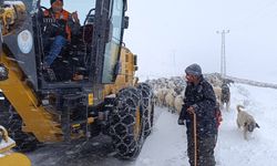 Trabzon'da Kar Nedeniyle Yaylada Mahsur Kalan Çoban Kurtarıldı