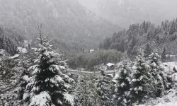 Orta ve Doğu Karadeniz'in Yüksek Kesimlerinde Kar Etkili Oldu