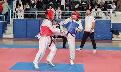 Cumhuriyet Kupası'nda Taekwondo Mücadelesi