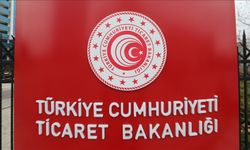 Ticaret Bakanlığı "e İhracat Pazarları ve Ülke Gümrük Uygulamaları" Rehberini Yayımladı