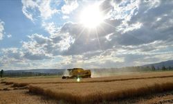 Türkiye Gıda Arzında Sürdürülebilirlik İçin Avrupa ile Ortak Projelere Odaklandı