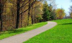 Tabiat Parkı Yolu Onarımı ve Sanat Yapıları Yapım İşi