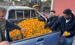 Projenin İlk Adımı: İmece Usulü Hasat