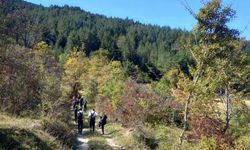 Artvin’in Doğal Güzelliklerine Yolculuk