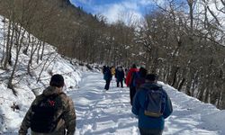 Doğanın Çağrısı: Artvin'de Kar Yolculuğu