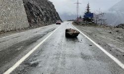 Artvin Ardahan Yolunda Kaya Düştü