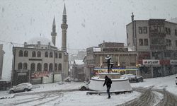 Karadeniz'de Kar Nedeniyle 1180 Yerleşim Yerinin Yolu Ulaşıma Kapandı