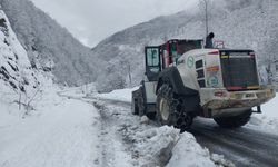 Karadeniz'de 527 Yerleşim Yerine Ulaşım Sağlanamıyor