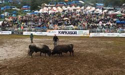 44. Kafkasör Festivali Tarihleri Açıklandı