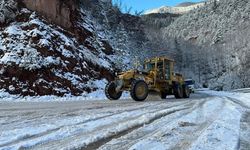 Artvin'de 111 Köy Yolu Kapalı