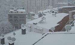 Artvin ve Doğu Karadeniz'de Yoğun Kar Yağışı Bekleniyor