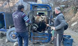 Ayak Bakımı ve Nallama Süreci Başladı