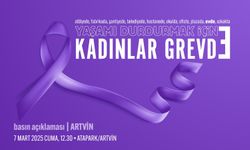 DİSK'li Kadınlardan 7 Mart'ta Genel Grev Kararı