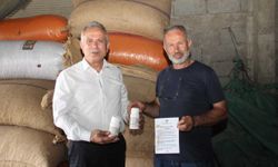 Trabzon'da Kahverengi Kokarcaya Karşı Üreticilere İlaç Dağıtıldı
