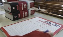 Yargı paketiyle magandalara verilecek cezalar artırılacak