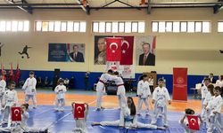 19 Mayıs Coşkusu Borçka'da Kutlandı